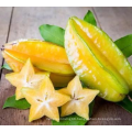 High Quality Fresh Juicy Natural Carambola Starfruit